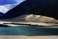 Landscape of The Yarlung Tsangpo Grand Canyon