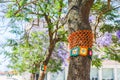 Yarn bombing in a tree. European park. Royalty Free Stock Photo