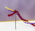 Yarn through embroidery Needle