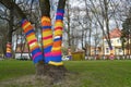 Yarnbombing on trees in Kaliningrad Royalty Free Stock Photo