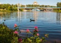 Yaroslavl. red clover on the Bank of the Kotorosl river opposite the beautiful cable-stayed bridge to the island of Damansky and