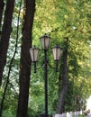 Yaroslavl. Yaroslavl. Summer evening. Lights on Volzhsky Boulevard. Linden alley Royalty Free Stock Photo