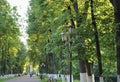 Yaroslavl. Yaroslavl. Summer evening. Lights on Volzhsky Boulevard. Linden alley Royalty Free Stock Photo