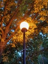 Yaroslavl. Volga embankment. Lantern on the background of an oak tree. Night scene Royalty Free Stock Photo