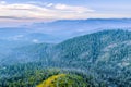 Yarra Ranges National Park at dusk.