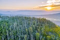 Yarra Ranges National Park at sunset.