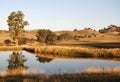 Yarra Valley Royalty Free Stock Photo