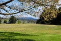 Yarra Valley - Coldstream Royalty Free Stock Photo