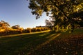 Yarra Valley Vineyard in Australia Royalty Free Stock Photo