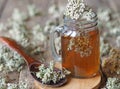 Yarrow.Herbal tea using dried yarrow flowers in a glass on a wooden background Royalty Free Stock Photo