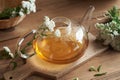 Yarrow tea with fresh yarrow flowers on a table Royalty Free Stock Photo