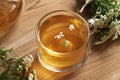 Yarrow tea in a glass cup with fresh blossoms on a table Royalty Free Stock Photo