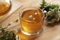 Yarrow tea in a glass cup Royalty Free Stock Photo