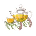 Yarrow tea illustration Royalty Free Stock Photo