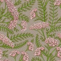 Yarrow vector pattern