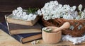 Yarrow wild field herb on old books with fresh milfoil flowers and mortar