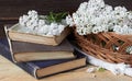 Yarrow wild field herb on old books with fresh milfoil flowers