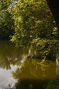 YASNAYA POLYANA. TULA REGION. RUSSIA - July 27, 2021: The trees under the water in manor house pond in the summer. Royalty Free Stock Photo