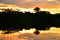 Yasuni-sunset Royalty Free Stock Photo