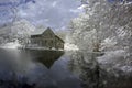 Yates Mill Pond, Infrared Royalty Free Stock Photo