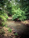 Yates Mill Pond Trail in Raleigh, North Carolina Royalty Free Stock Photo