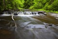 Yatesville Forest Cascade