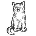 Yawning cat engraving vector illustration