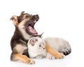 Yawning mixed breed dog lying with small cat. isolated on white Royalty Free Stock Photo