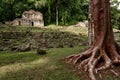 Yaxchilan is an ancient Maya in Mexico Royalty Free Stock Photo