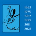 Year animal rabbit vector image