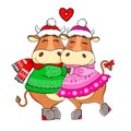 Funny bulls in love in hats and a scarves