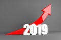 Year 2019 Business Arrow - Growth