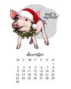 Year calendar with pig. Monthly illustrations. Hand drawn piglet wearssanta hat and fir wreath. December. Cristmas, Xmas