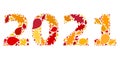 2021 Year Digits Autumn Collage Icon with Fall Leaves