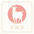 Year goat Chinese horoscope vector line art and pattern on white background.