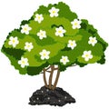 Year green bush with white flower.Vector illustration