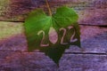2022 year on a green vine leaf. 2022 harvest year in the wine industry. Royalty Free Stock Photo