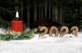 Year 2023 made of wood in snow with candle Royalty Free Stock Photo