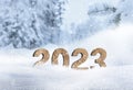 Year 2023 made of wood in snow Royalty Free Stock Photo