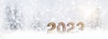 Year 2023 made of wood in snow Royalty Free Stock Photo