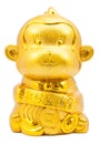 Year of the monkey golden monkey