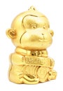Year of the monkey golden monkey
