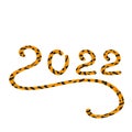 Year number 2022. Chinese year of tiger. Stylized figures in the form of a tiger and a fiery ring.