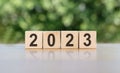 2023 year numbers on wood dices on green background Royalty Free Stock Photo