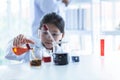 6 year old Asian girl wearing a white scientist uniform Learning And conducted a scientific Royalty Free Stock Photo