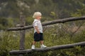 A 4-year-old child climbs a wooden old fence Royalty Free Stock Photo