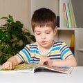 A 4-year-old child sits at a table and reads a book, looks at pictures, learns to read.