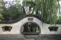 4,500-year-old cypress in Songyang Academy, central China