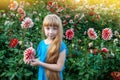 11 year old girl with long white hair with a dahlia flower. Portrait of little toddler girl admiring bouquet of huge Royalty Free Stock Photo