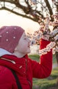 Girl sniffs the flowers of an apricot tree. Teenage girl enjoying the scent of spring flowers Royalty Free Stock Photo